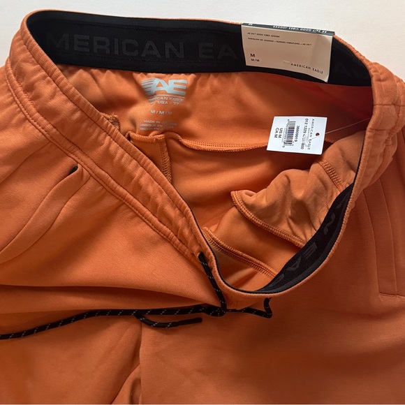 NWT American Eagle Outfitters 24/7 Good Vibes Joggers - Rust, medium - Picture 4 of 5